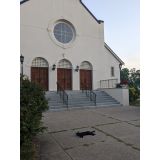 Website build +one year hosting